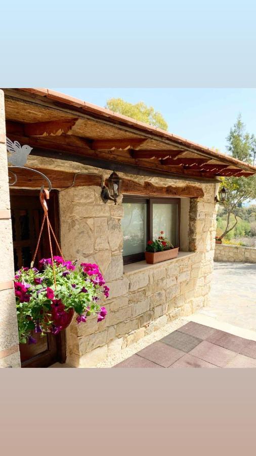 Cosmema House 2 Studio With Great Mountain View Stroumbi Экстерьер фото